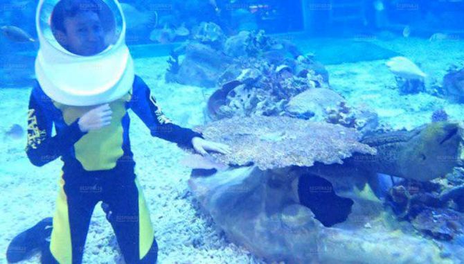 ارزان ترین پرواز تهران مانیل